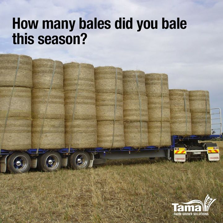 Bales productivity