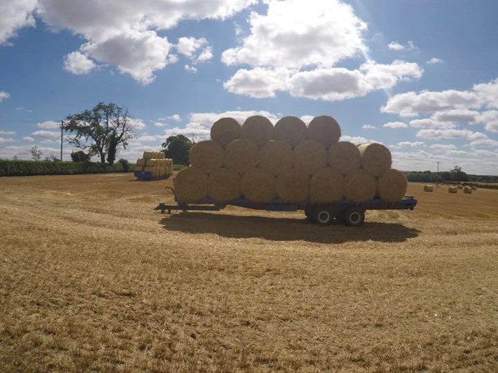 Load of bales
