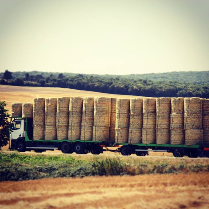 One more bales load...