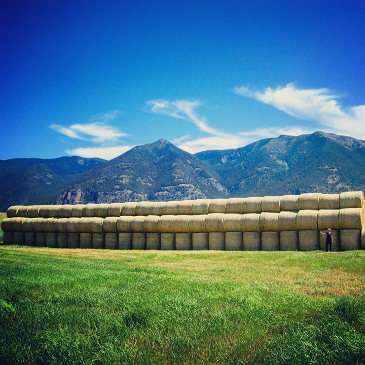 Rocky mountain high