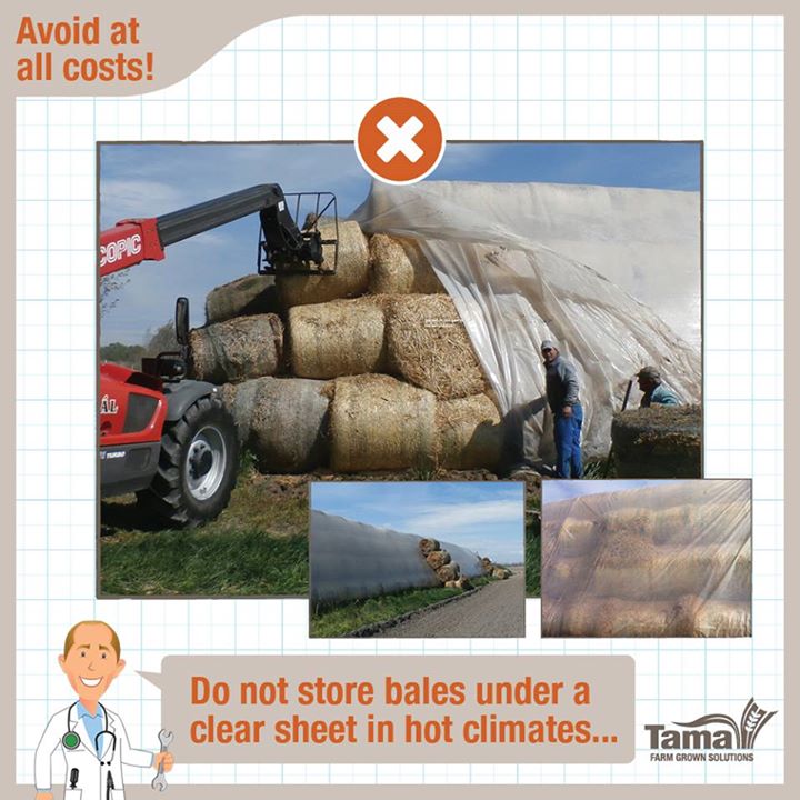 Store Bales