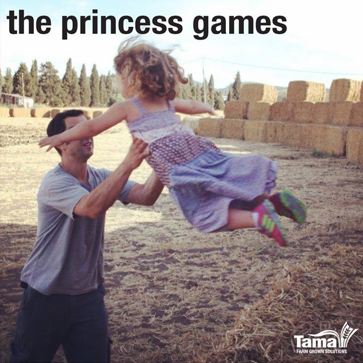 The princess games