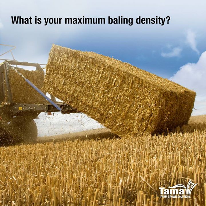 Twine Baling Density