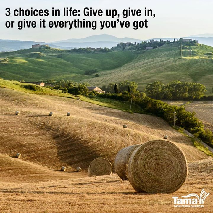 3 Choices