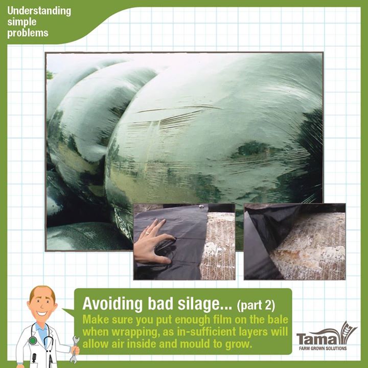 Avoiding bad silage - part2