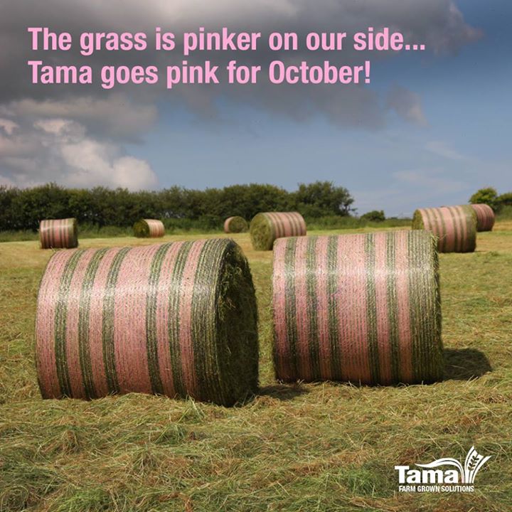 Breast cancer awareness month