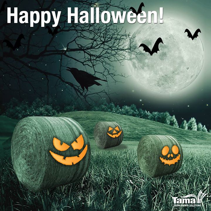 Happy Halloween