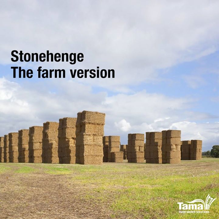 Stonehenge - The farm version