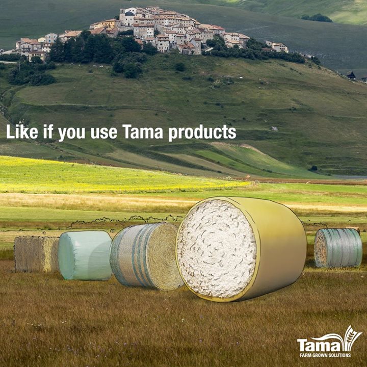 Tama Products