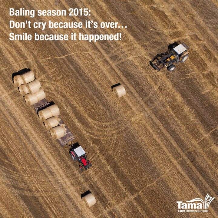 Baling season 2015