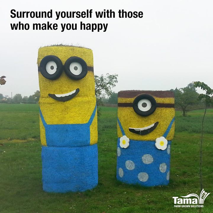 Minions Bale netwraps