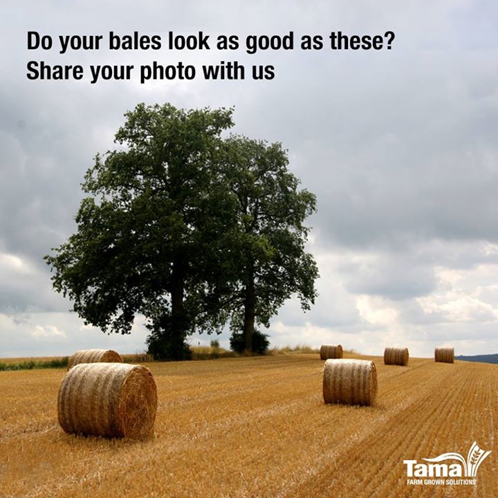 Agri challenge