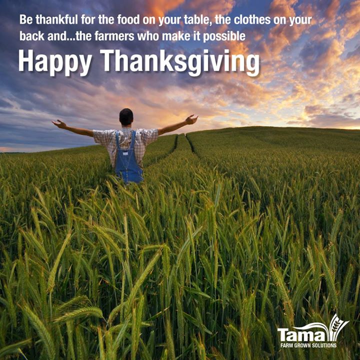Happy Thanksgiving