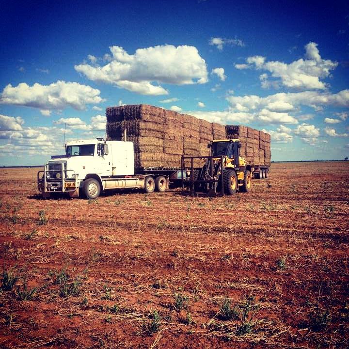 Square bales loading