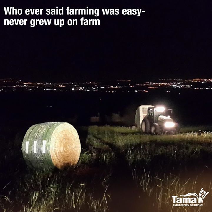 farming was easy