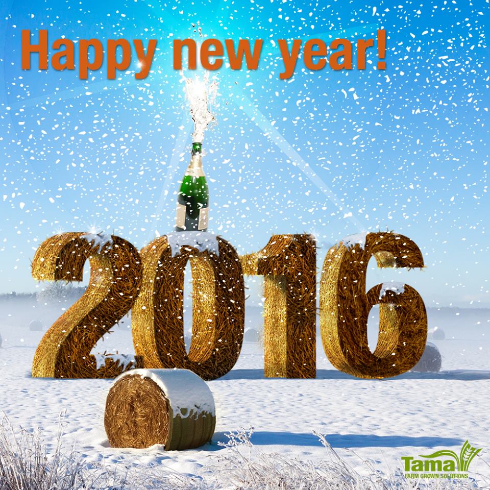 Happy New Year!