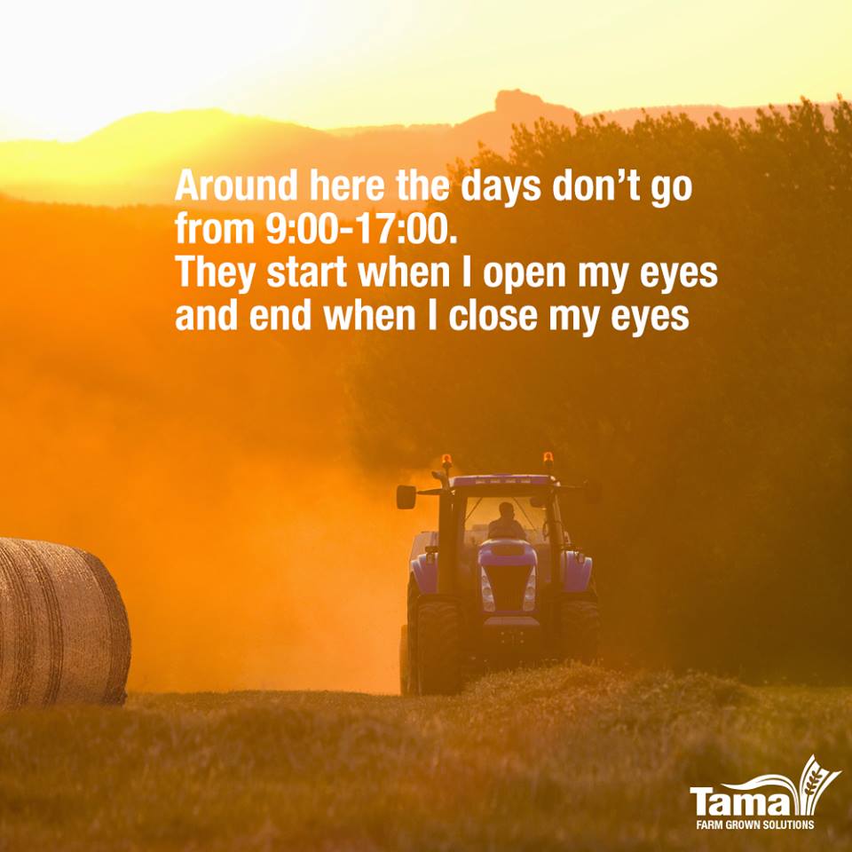 Around here the days