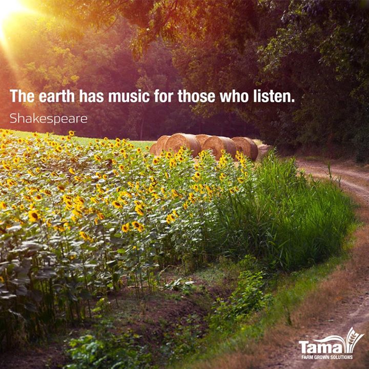Can you hear the music