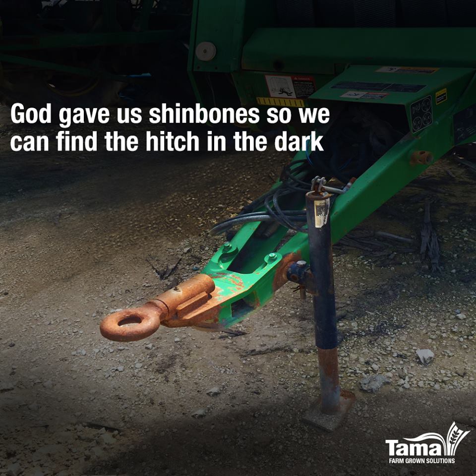 God gave us shinbones so we can find the hitch in the dark