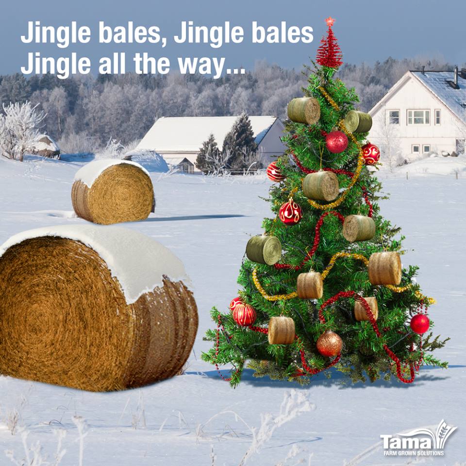 Jingle bales