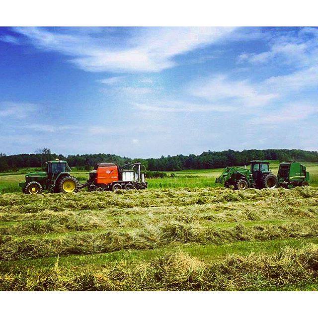 Tama - Farm Grown Solutions's Photos