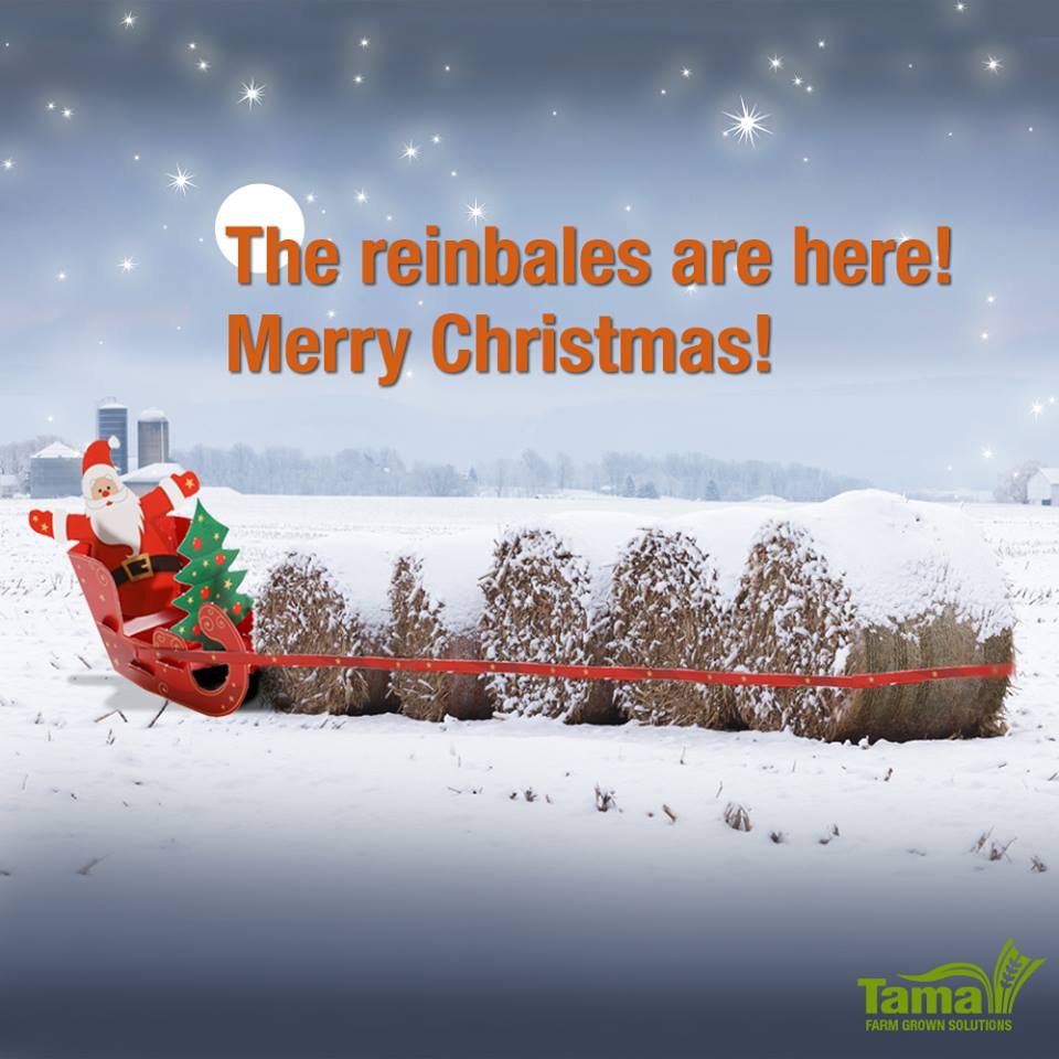 The reinbales are here!