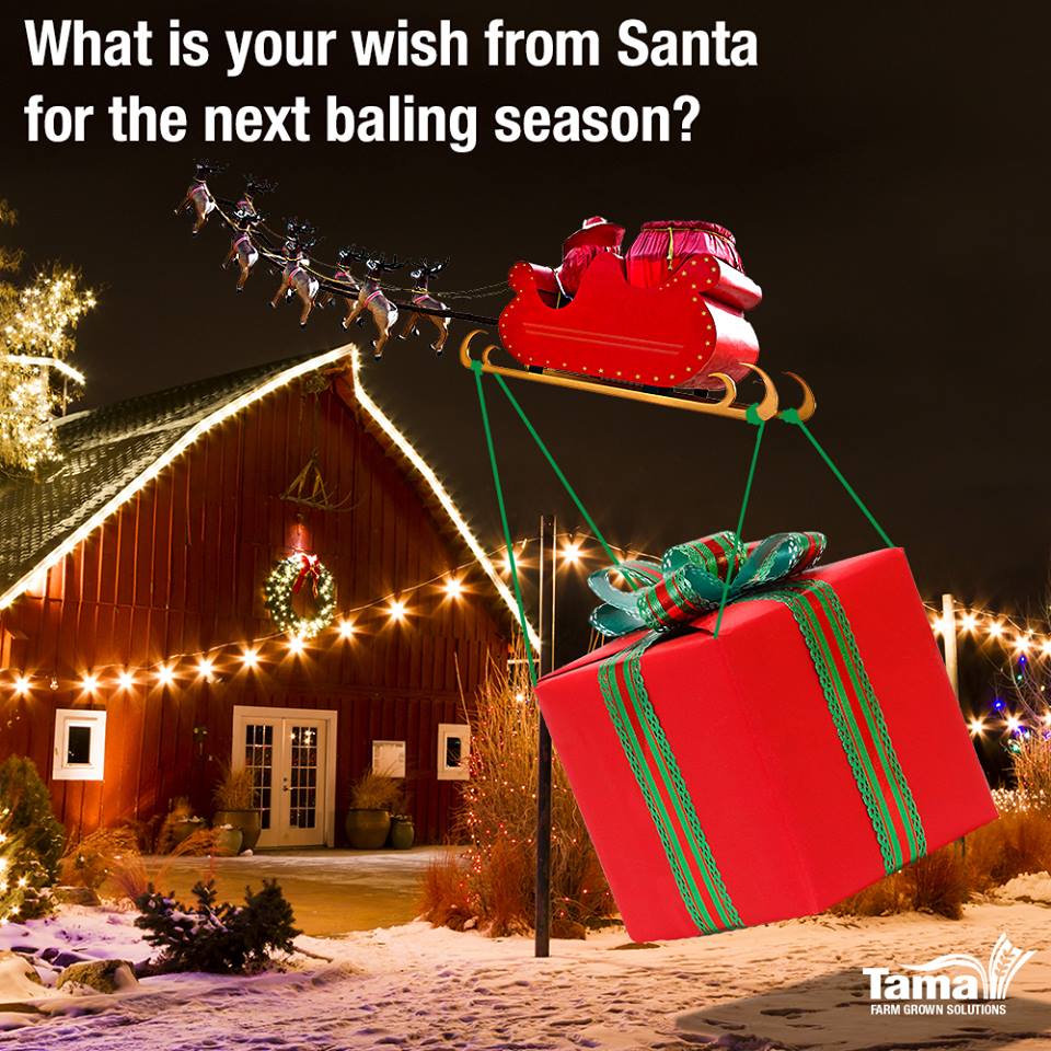 What is your wish