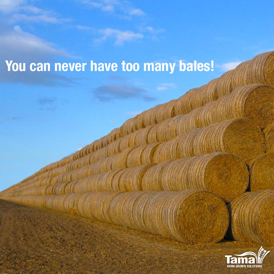 You can never have too many bales!
