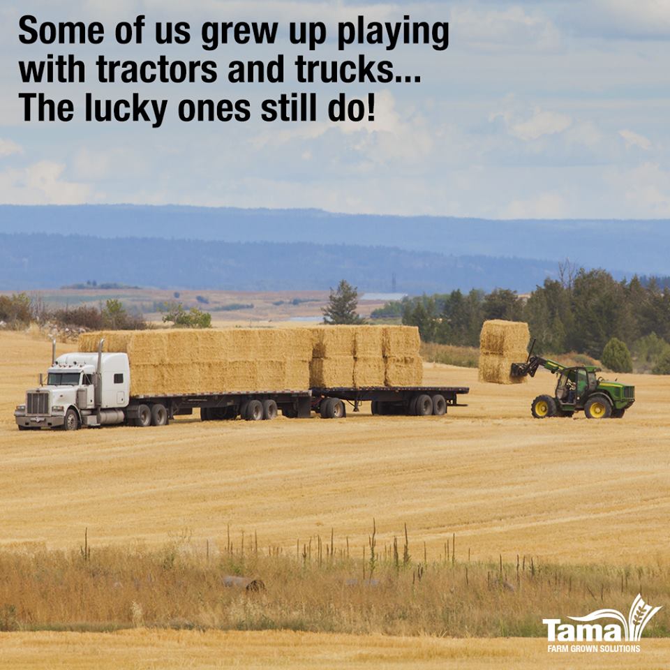 Are you feeling lucky