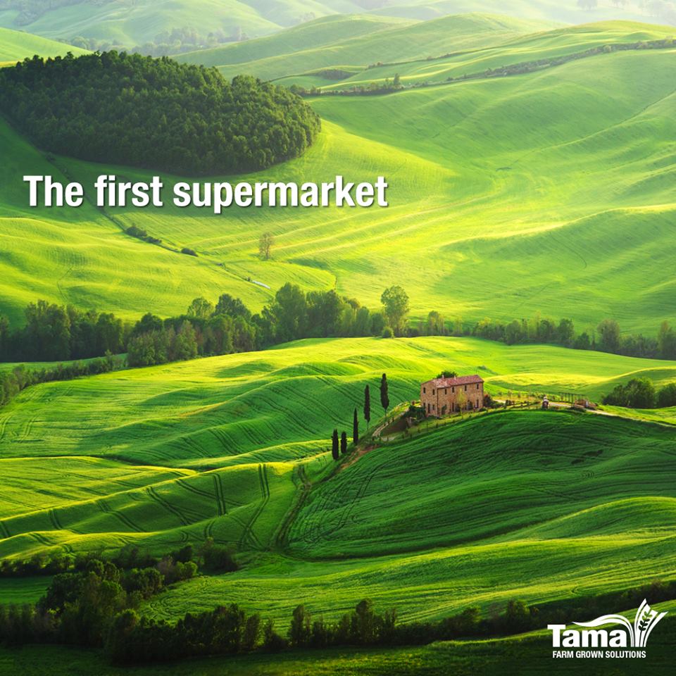 Don’t you miss the days people shopped for their groceries straight from the farmer