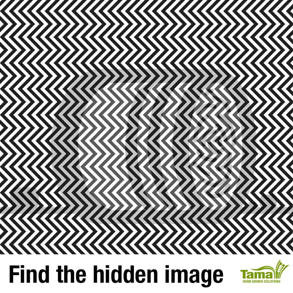 Find the hidden image