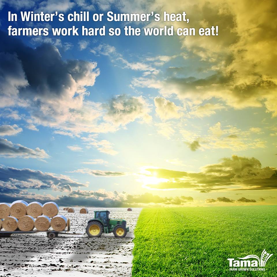 Never mind the weather!