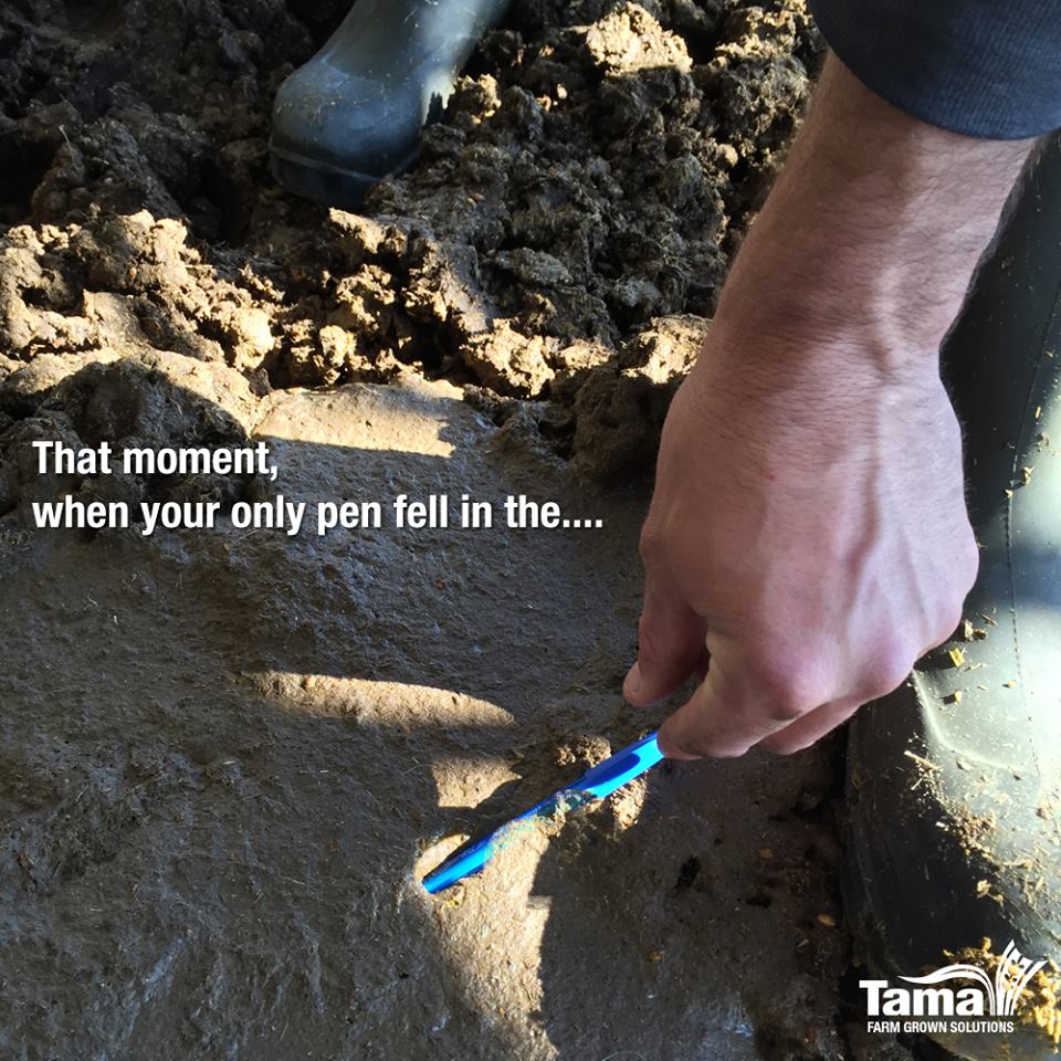 See a pen & pick it up