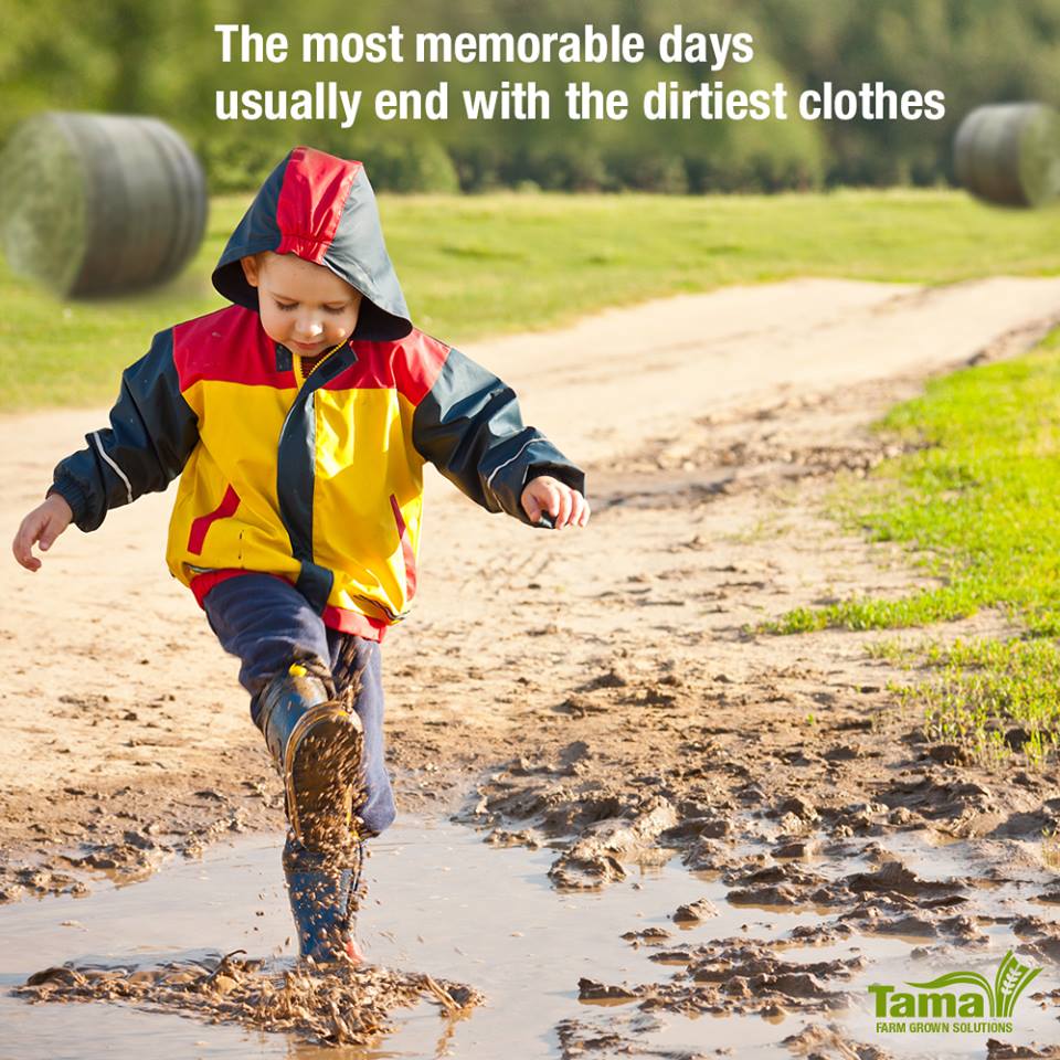 The most memorable