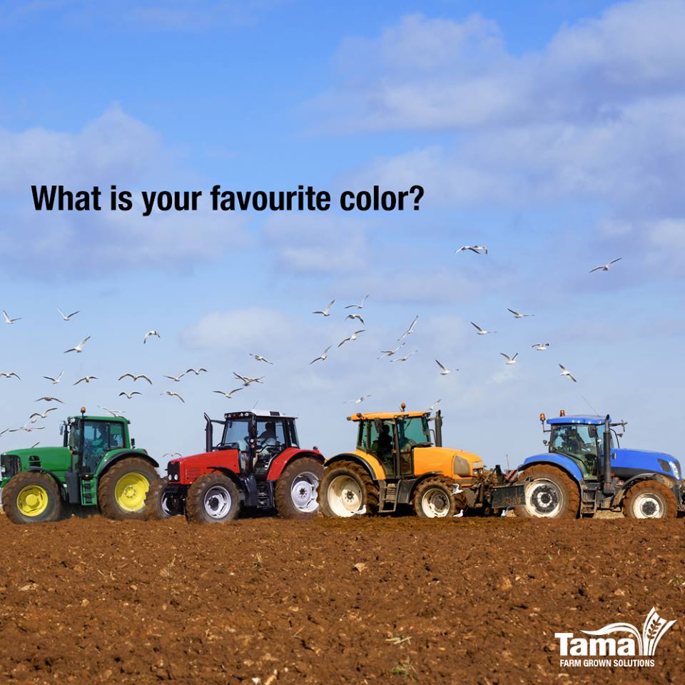 What is your favourite color