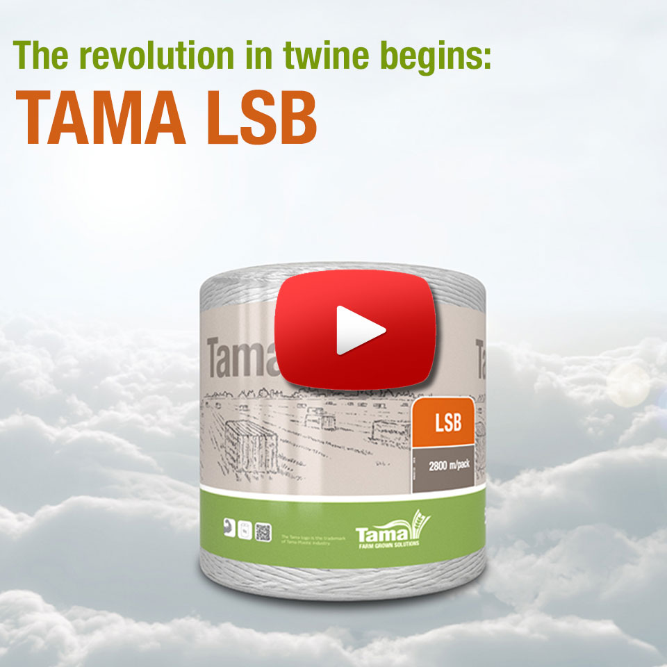 Tama LSB