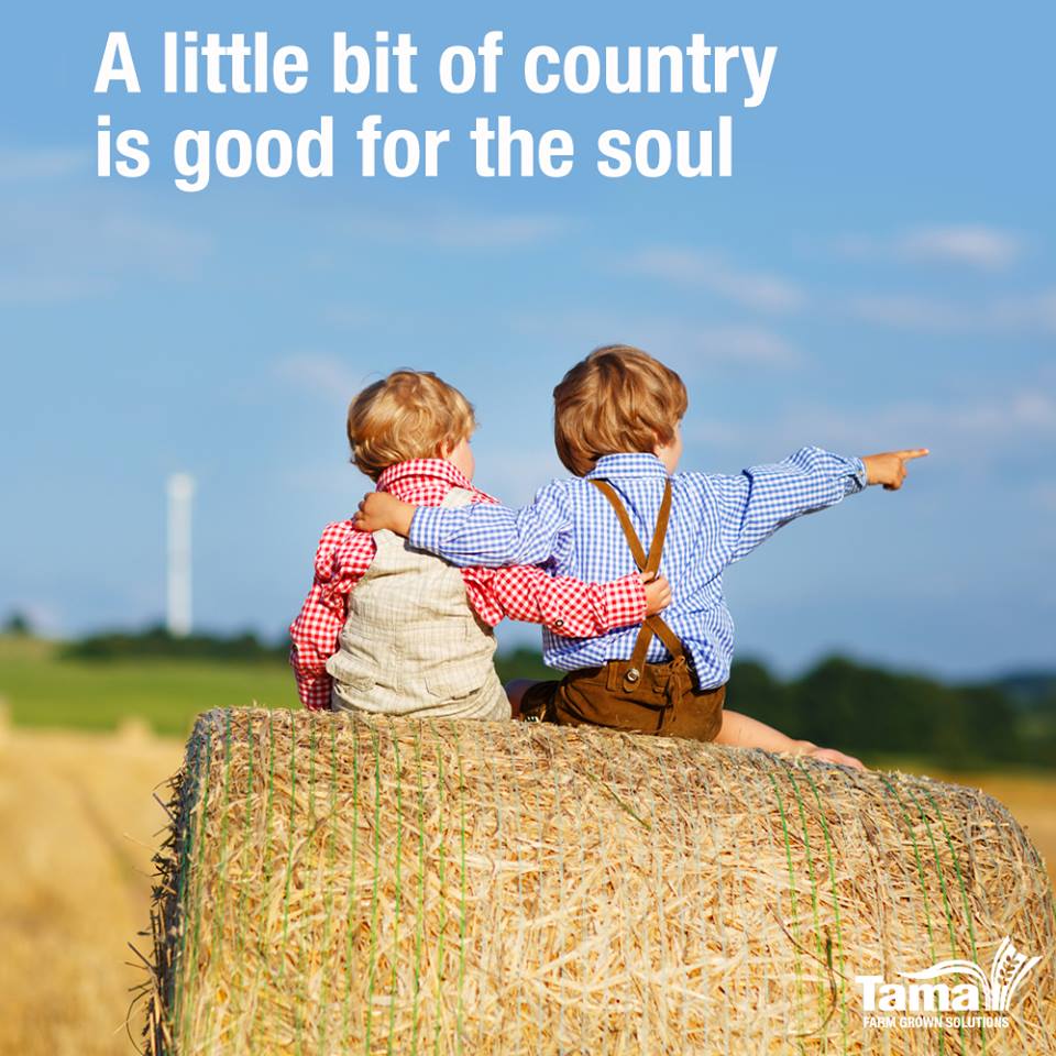 A little bit of country