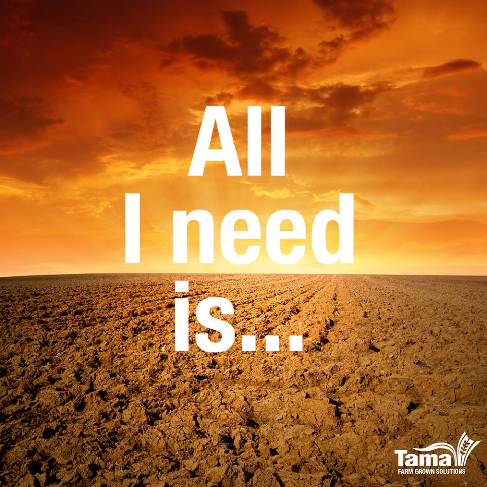 All I need is