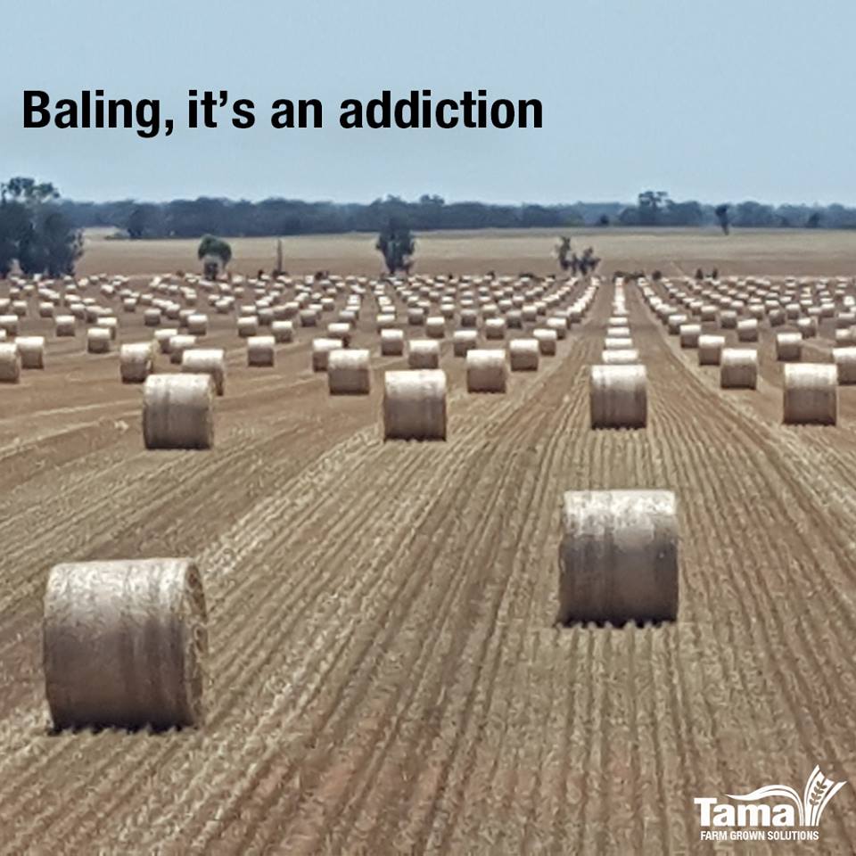 Do you also have a craving for the baling season