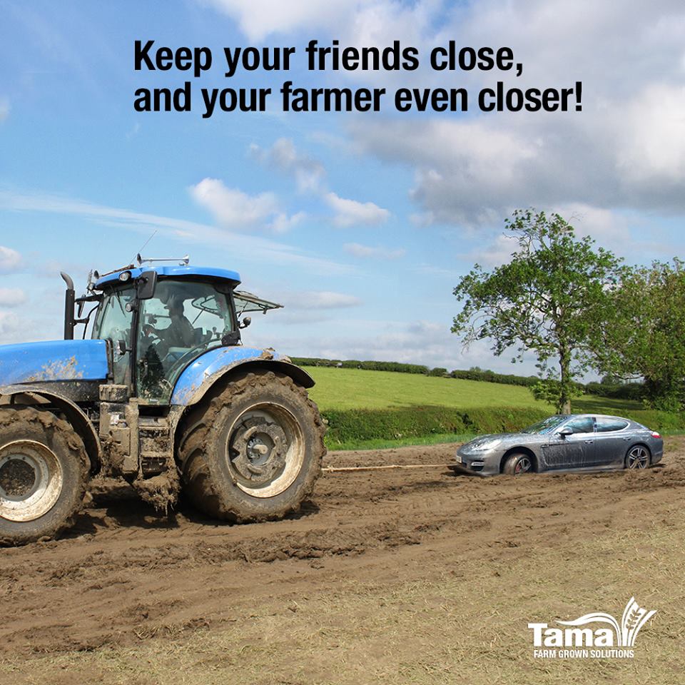 Keep your friends close