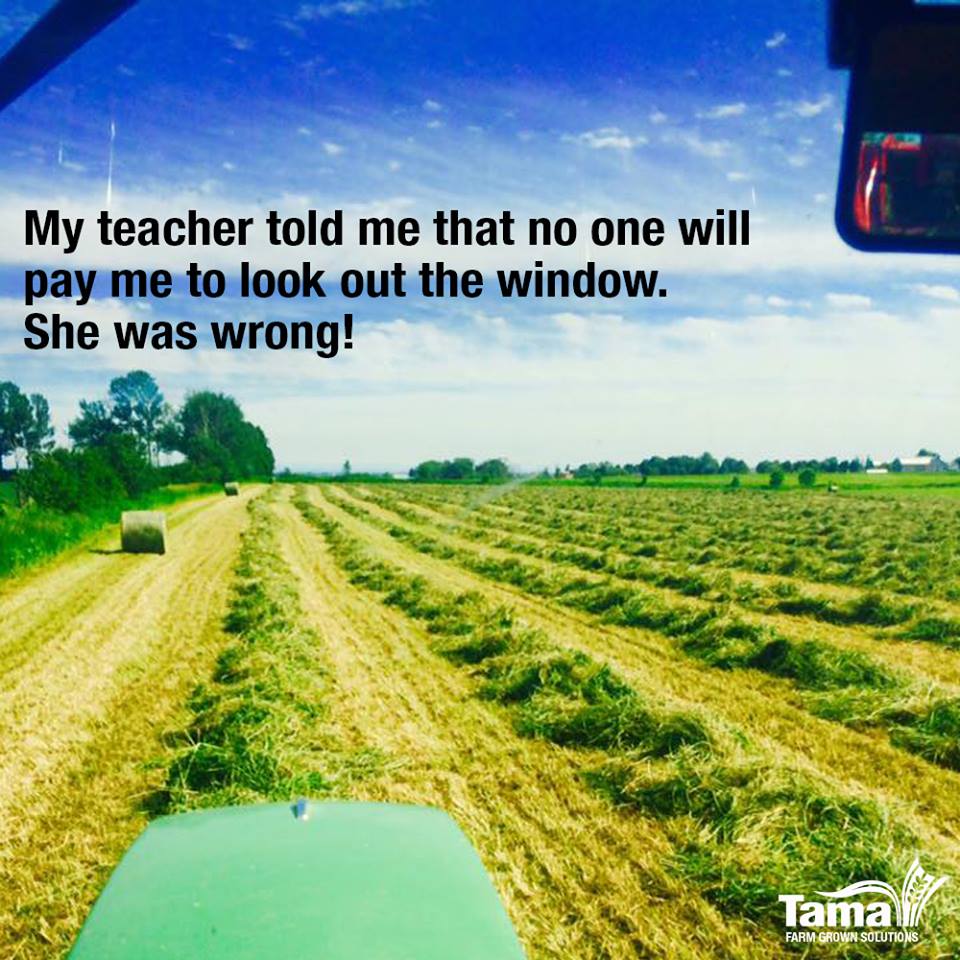 Living the baling dream