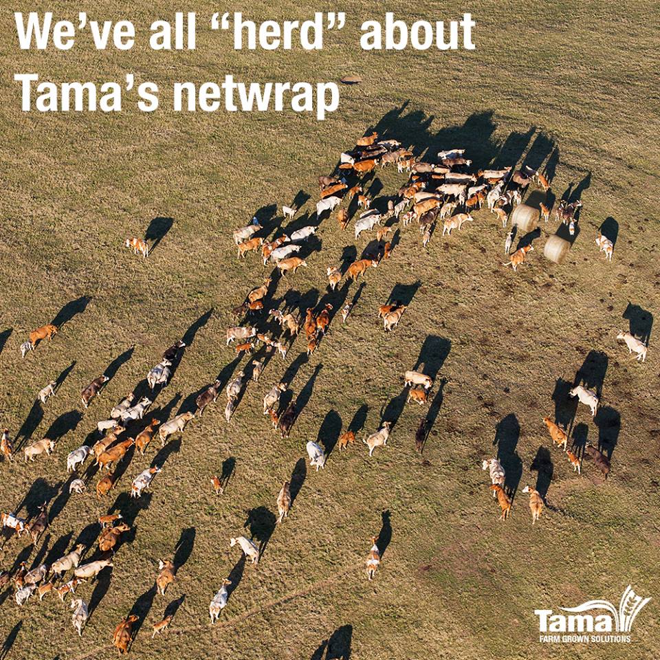 TamaNet Edge to Edge