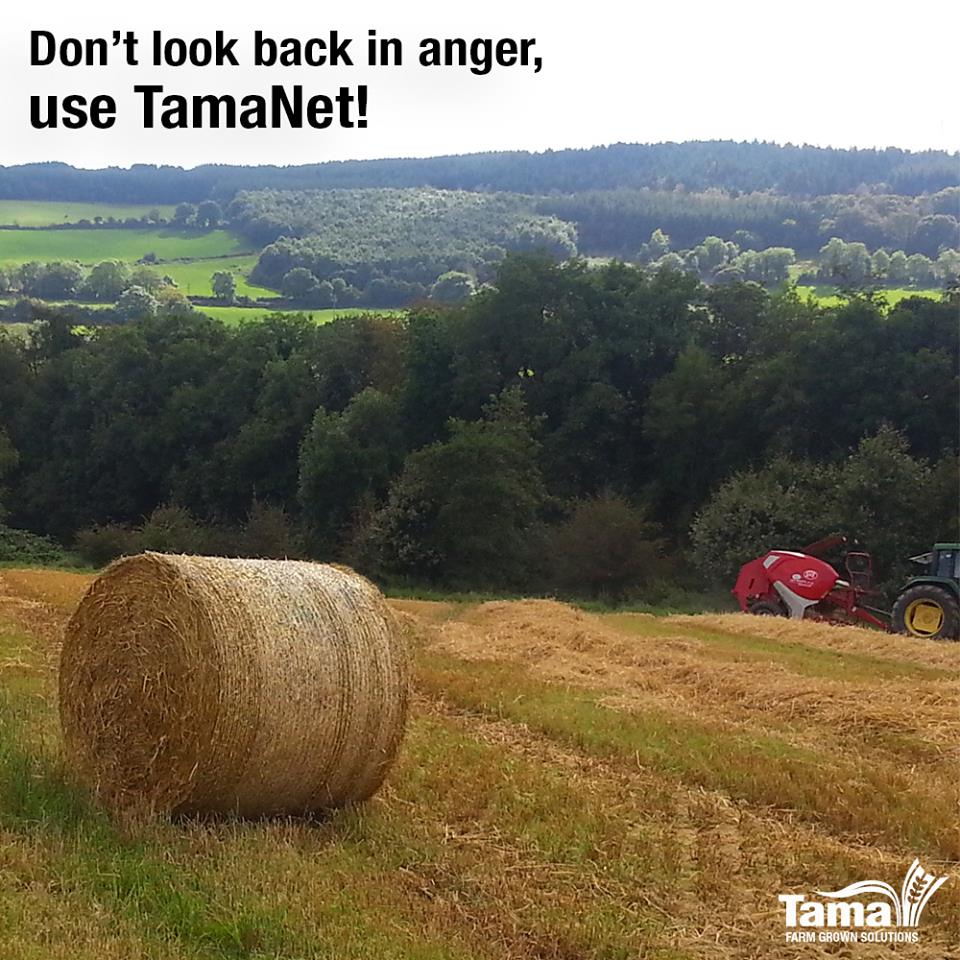 use TamaNET