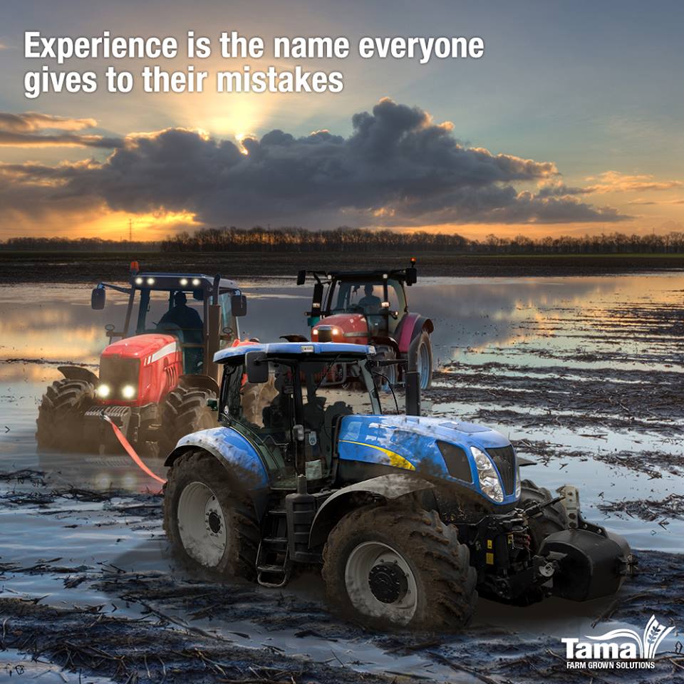 Experience is the name