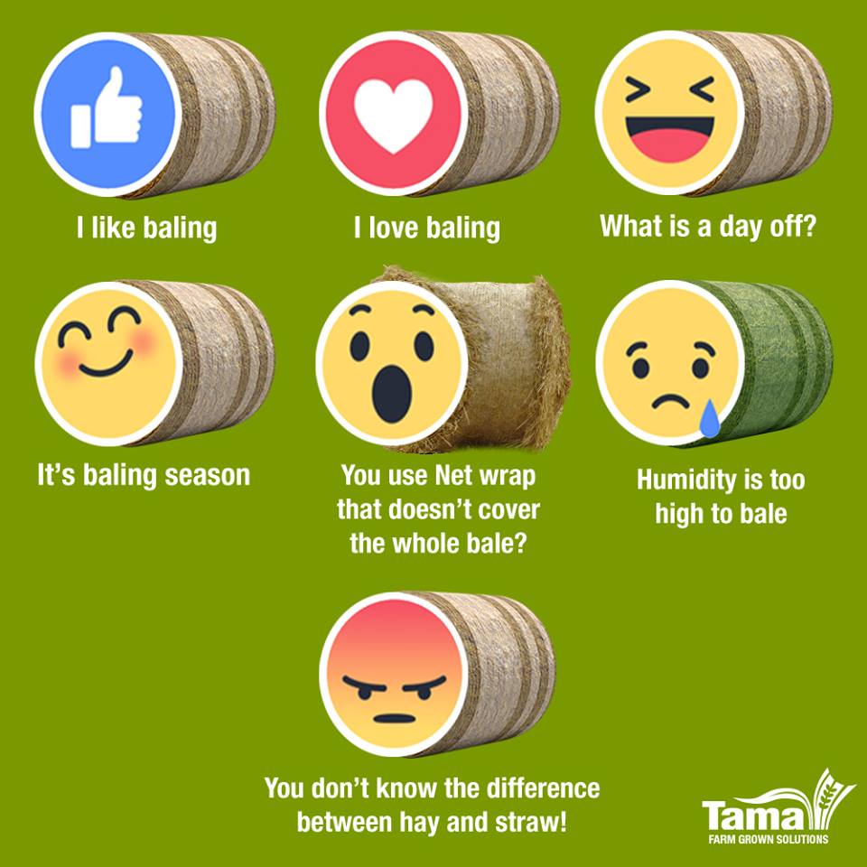 Facebook feelings – The baling version