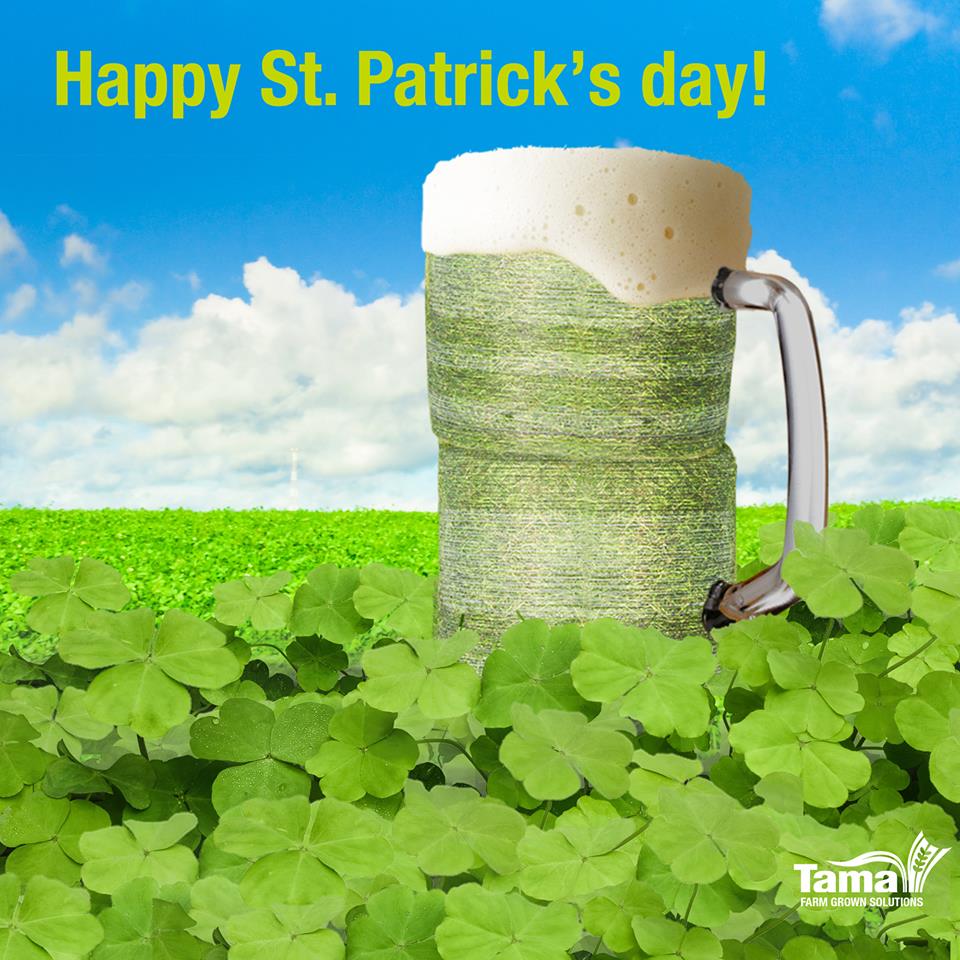 Happy St patrick's day !