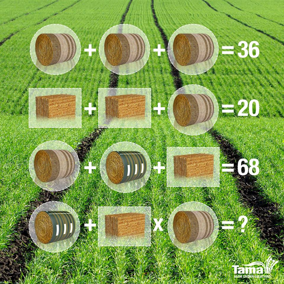 Solve this equation