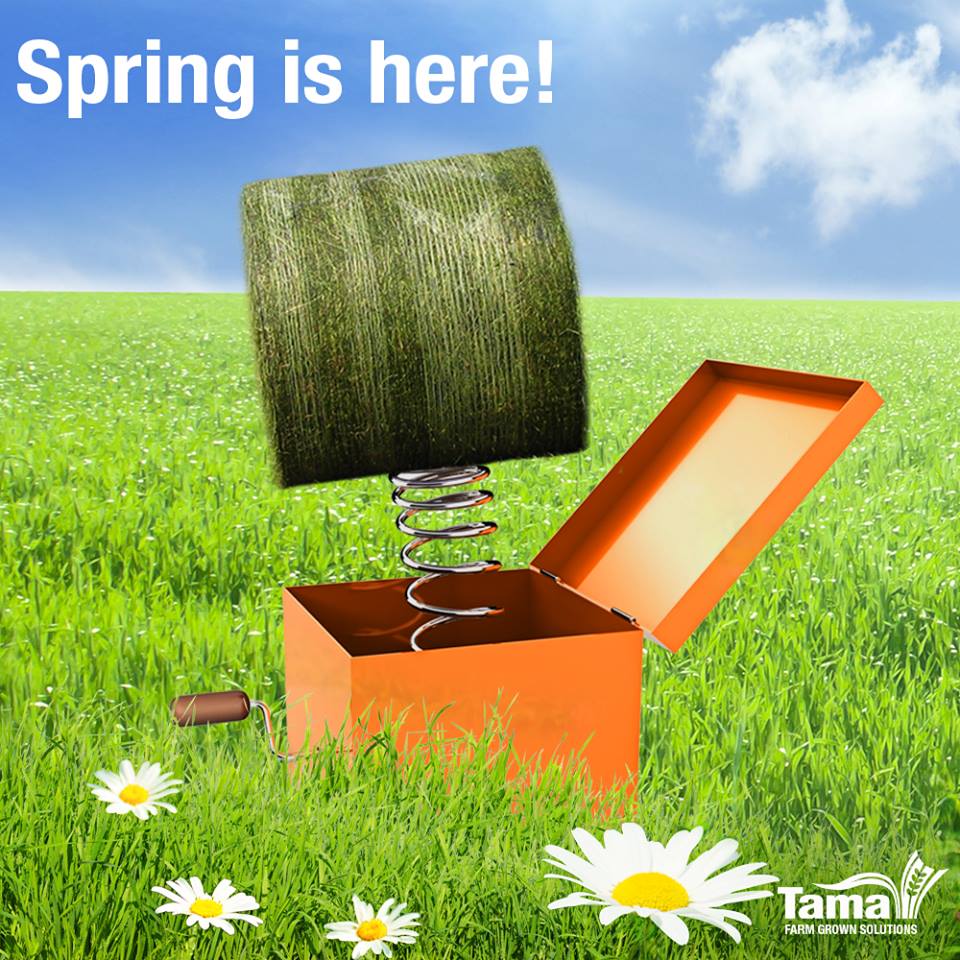 Spring is here