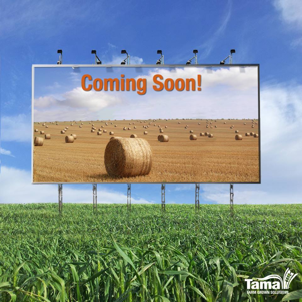 Are you ready