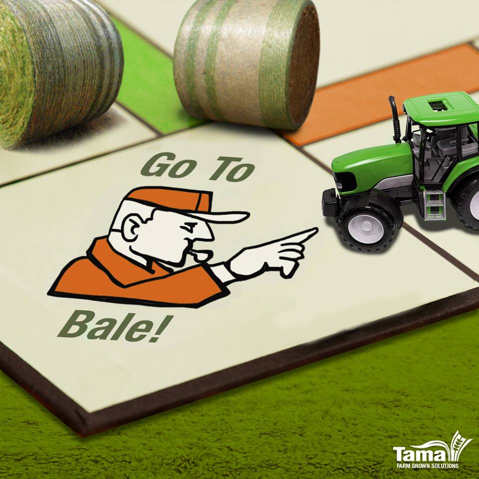 GO TO Bale